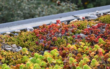 the cost of Bobby Hill green roof installation